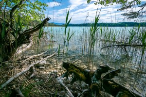 nature lakeside long weekend wri